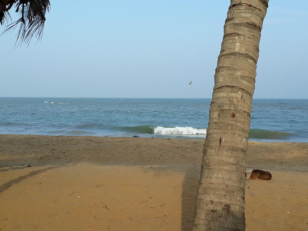 Anicia Beach House Negombo Exteriér fotografie